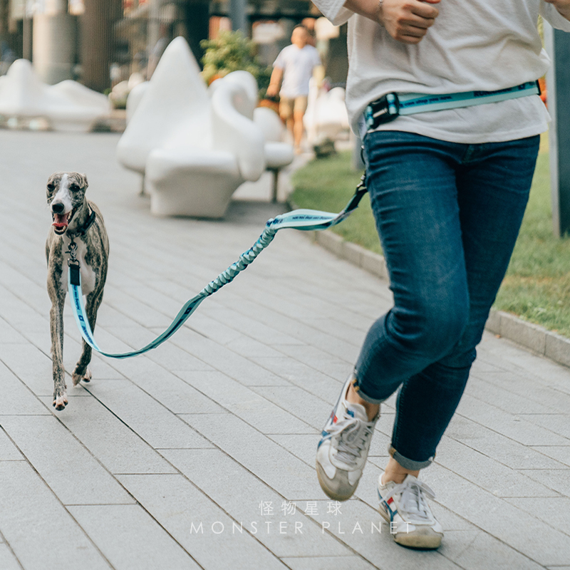 Trela ajustável de mão livre p - Running Gear Belt avaliação e preço